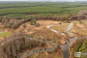 Działka na sprzedaż 75000m2 goleniowski Goleniów Krzewno - zdjęcie 2