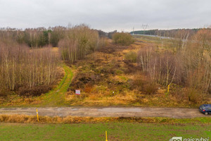 Działka na sprzedaż 23800m2 goleniowski Goleniów Żółwia Błoć - zdjęcie 3