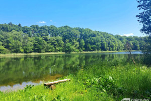 Działka na sprzedaż 608m2 łobeski Dobra Tucze - zdjęcie 1