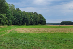 Działka na sprzedaż 4000m2 goleniowski Goleniów Tarnówko - zdjęcie 1