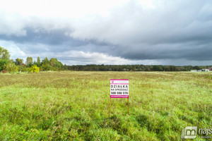 Działka na sprzedaż 3000m2 kamieński Świerzno Redliny - zdjęcie 2