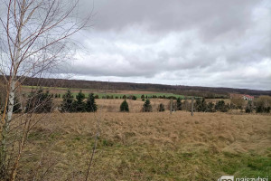 Działka na sprzedaż 53145m2 gryfiński Stare Czarnowo - zdjęcie 1