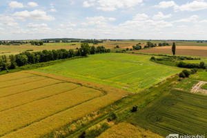 Działka na sprzedaż 21701m2 pyrzycki Pyrzyce Obromino - zdjęcie 3