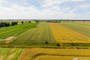 Działka na sprzedaż 23198m2 pyrzycki Pyrzyce Obromino - zdjęcie 3