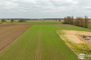 Działka na sprzedaż 20845m2 kamieński Wolin - zdjęcie 2