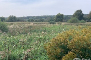 Działka na sprzedaż 1322m2 policki Dobra (Szczecińska) Buk - zdjęcie 2