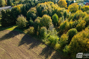 Działka na sprzedaż 4100m2 gryficki Brojce - zdjęcie 3