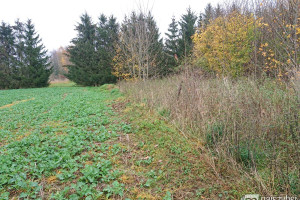 Działka na sprzedaż 4100m2 gryficki Brojce - zdjęcie 3