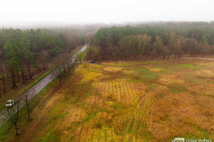 Działka na sprzedaż 8137m2 goleniowski Nowogard - zdjęcie 1