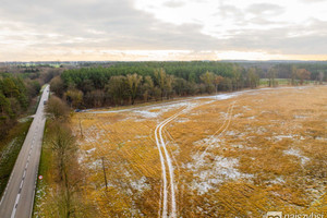 Działka na sprzedaż 8137m2 goleniowski Nowogard - zdjęcie 1