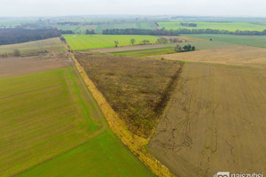 Działka na sprzedaż 35700m2 stargardzki Stargard - zdjęcie 2