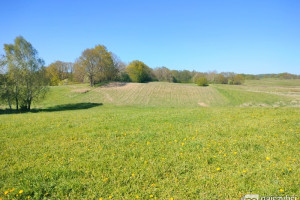 Działka na sprzedaż 4297m2 stargardzki Ińsko Ścienne - zdjęcie 2