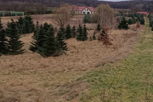 Działka na sprzedaż 53145m2 gryfiński Stare Czarnowo - zdjęcie 3