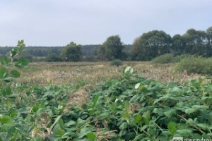 Działka na sprzedaż 1322m2 policki Dobra (Szczecińska) Buk - zdjęcie 3