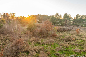 Działka na sprzedaż 1001m2 kamieński Wolin - zdjęcie 1