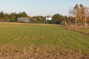 Działka na sprzedaż stargardzki Chociwel Oświno - zdjęcie 1