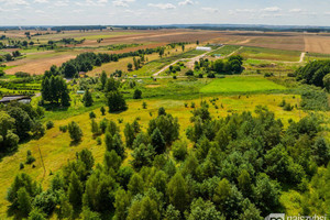 Działka na sprzedaż 23200m2 gryfiński Chojna - zdjęcie 3