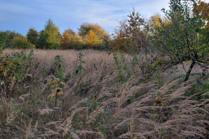 Działka na sprzedaż 2992m2 goleniowski Nowogard - zdjęcie 1