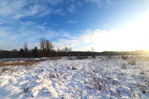 Działka na sprzedaż 8995m2 kołobrzeski Kołobrzeg Rościęcino - zdjęcie 2