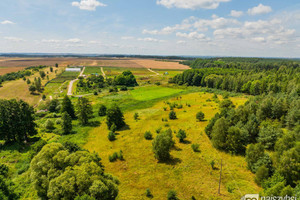 Działka na sprzedaż 23200m2 gryfiński Chojna - zdjęcie 2