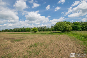 Działka na sprzedaż 7860m2 goleniowski Nowogard - zdjęcie 1