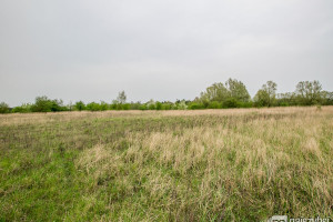 Działka na sprzedaż 825m2 policki Dobra (Szczecińska) Dołuje - zdjęcie 1