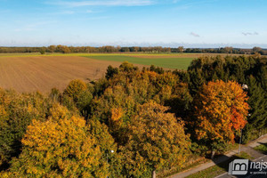 Działka na sprzedaż 4100m2 gryficki Brojce - zdjęcie 1