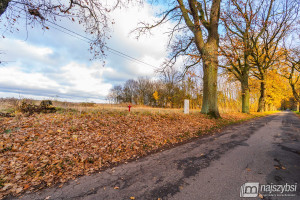 Działka na sprzedaż 3200m2 goleniowski Goleniów Tarnówko - zdjęcie 3