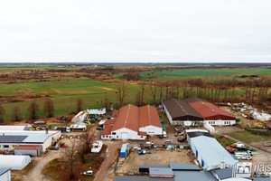 Komercyjne do wynajęcia 2905m2 gryficki Trzebiatów - zdjęcie 3