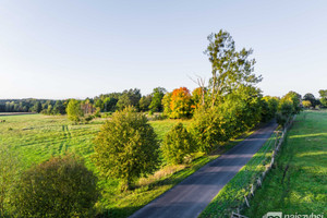 Działka na sprzedaż 20800m2 goleniowski Przybiernów Zabierzewo - zdjęcie 3