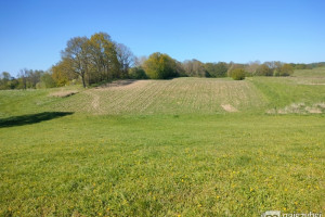 Działka na sprzedaż 4297m2 stargardzki Ińsko Ścienne - zdjęcie 3