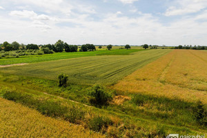 Działka na sprzedaż 23198m2 pyrzycki Pyrzyce Obromino - zdjęcie 2