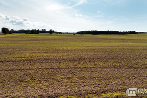 Działka na sprzedaż 1250m2 kołobrzeski Gościno - zdjęcie 3