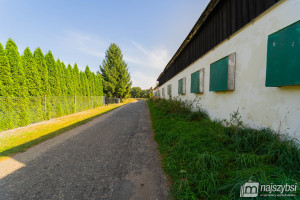 Komercyjne do wynajęcia 720m2 goleniowski Goleniów - zdjęcie 3