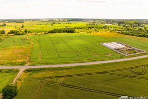 Działka na sprzedaż 6170m2 pyrzycki Pyrzyce - zdjęcie 3