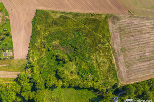 Działka na sprzedaż 22524m2 goleniowski Maszewo Dębice - zdjęcie 2