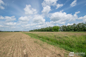 Działka na sprzedaż 7860m2 goleniowski Nowogard - zdjęcie 3