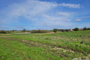 Działka na sprzedaż 1060m2 gryfiński Moryń Stare Objezierze - zdjęcie 3