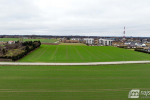 Działka na sprzedaż 20000m2 kołobrzeski Gościno - zdjęcie 2