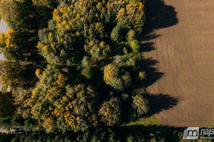 Działka na sprzedaż 4100m2 gryficki Brojce - zdjęcie 2