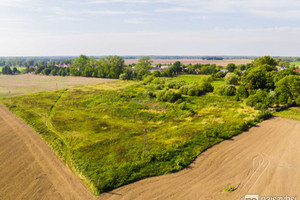 Działka na sprzedaż 22524m2 goleniowski Maszewo Dębice - zdjęcie 2