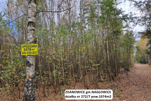 Działka na sprzedaż jędrzejowski Nagłowice Zdanowice - zdjęcie 2