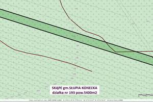 Działka na sprzedaż 5400m2 konecki Słupia (Konecka) Skąpe - zdjęcie 3