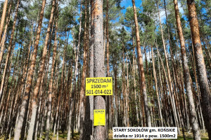 Działka na sprzedaż 1500m2 konecki Końskie Stary Sokołów - zdjęcie 1