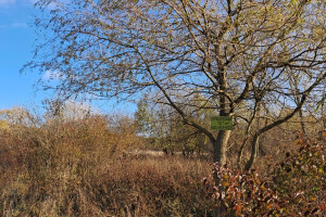 Działka na sprzedaż 702m2 zawierciański Włodowice Podmiejska - zdjęcie 1