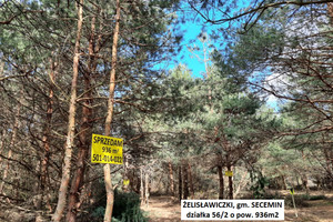 Działka na sprzedaż 936m2 włoszczowski Secemin Żelisławiczki - zdjęcie 1