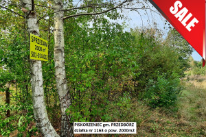 Działka na sprzedaż 2000m2 radomszczański Przedbórz Piskorzeniec - zdjęcie 1