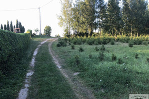 Działka na sprzedaż 3300m2 kwidzyński Gardeja Czarne Małe Czarne Małe - zdjęcie 3