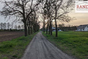 Działka na sprzedaż 981m2 średzki Krzykosy Sulęcinek - zdjęcie 2