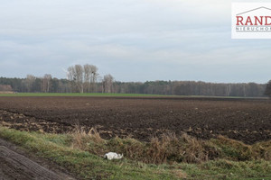 Działka na sprzedaż 1003m2 średzki Środa Wielkopolska Dębiczek Dębiczek - zdjęcie 2